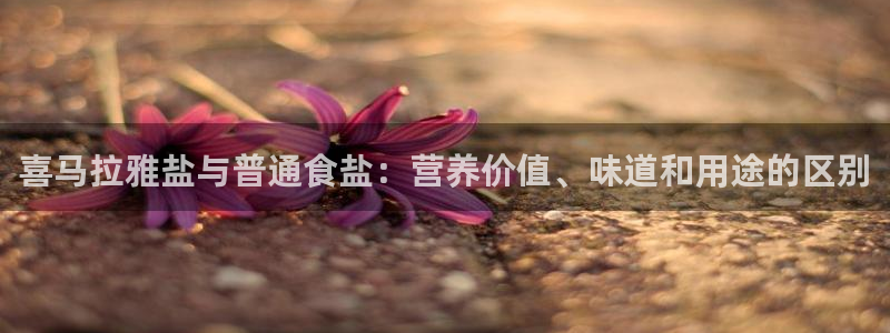 威九国际top