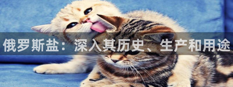 威九国际官网版下载