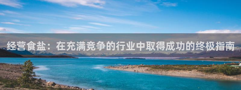 威九国际空降