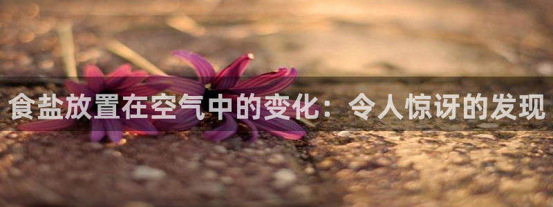 威九国际留学