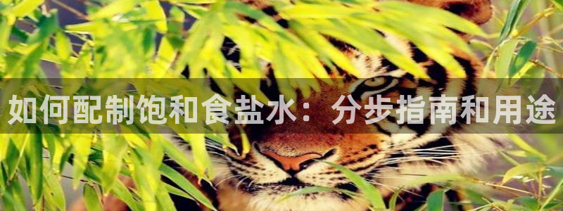 威九国际app无法登陆怎么回事