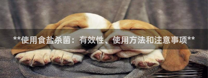 威九国际的金融服务