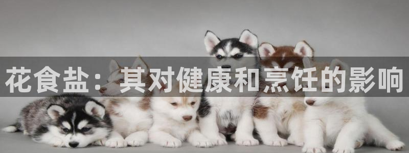 威九国际取款