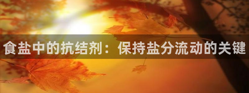 威九国际网站下载