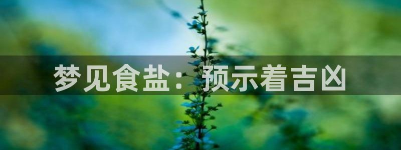 威九国际的演员
