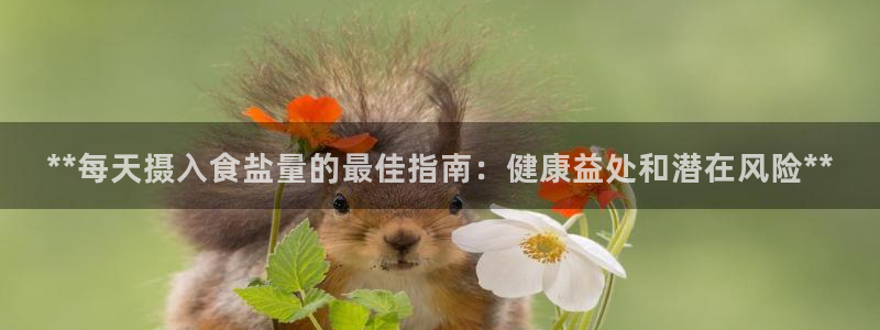 威九国际客服电话