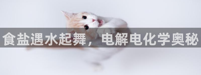 威九国际66m-66