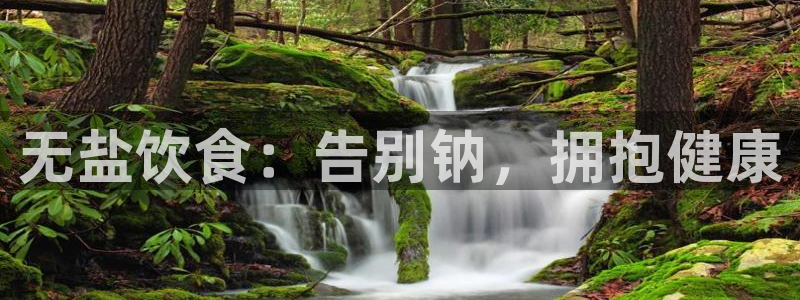 威九国际网站怎么样