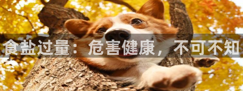 威九国际78mb42斗罗大陆