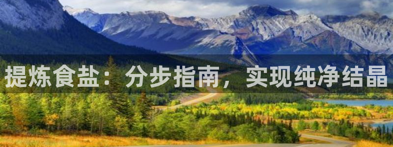 威九国际男主