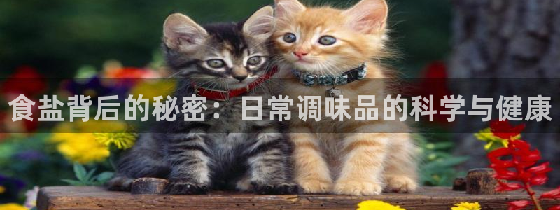威九国际取款