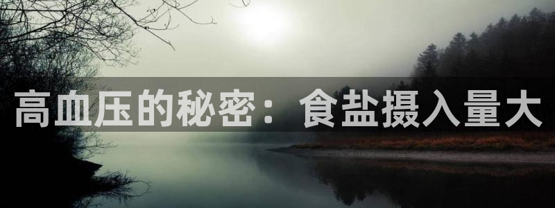 威九国际客服电话是多少