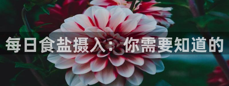 威九国际网站客服电话多少
