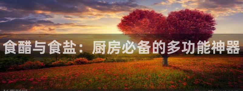 威九国际网站怎么样可靠吗