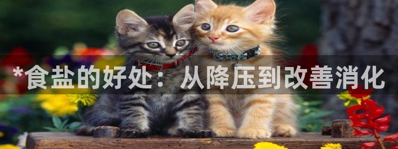 威九国际FF