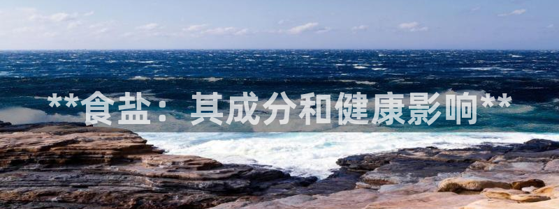 威九国际ppt免费