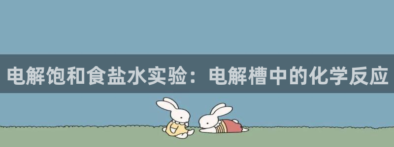 威九国际软件公司简介