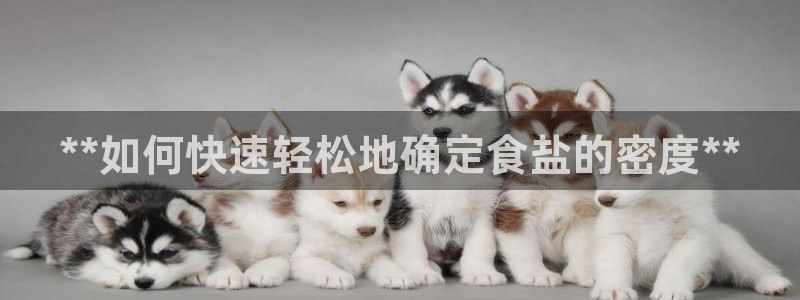 威九国际男主