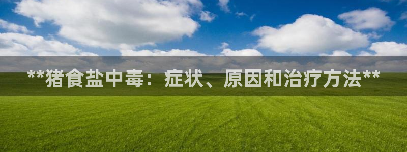 威九国际最近的视频