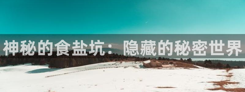 威九国际女