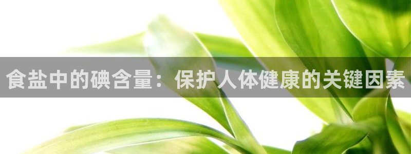 威九国际体育app下载
