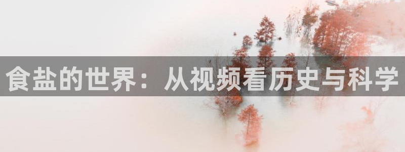 威九国际女明星