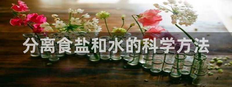 威九国际能提现吗