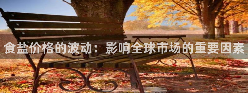 威九国际