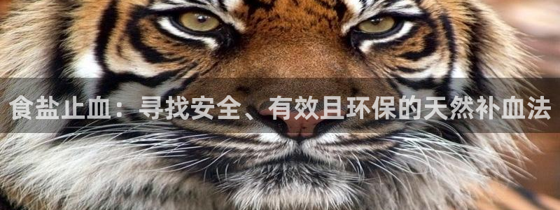 威九国际电影2022年9月月