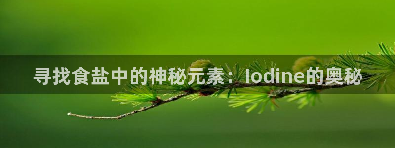 威九国际电子有限公司