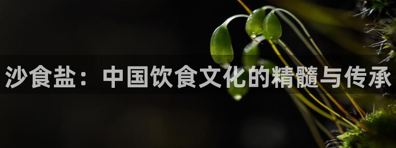 威九国际66视频