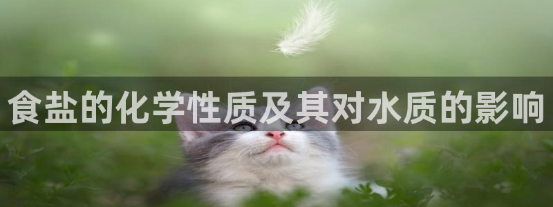威九国际正规吗