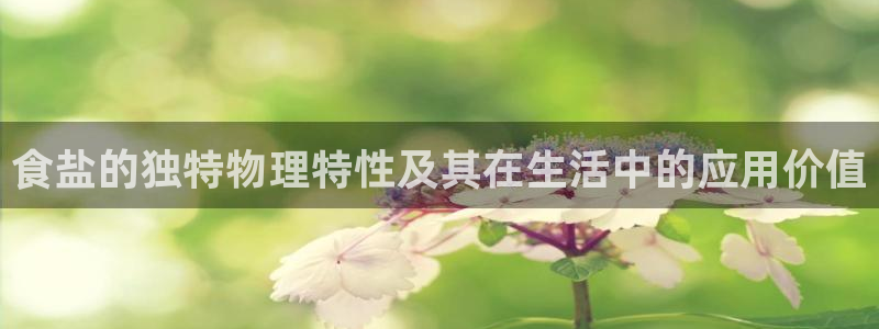 威九国际免费版