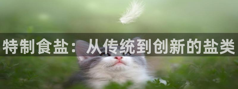 威九国际真人游戏