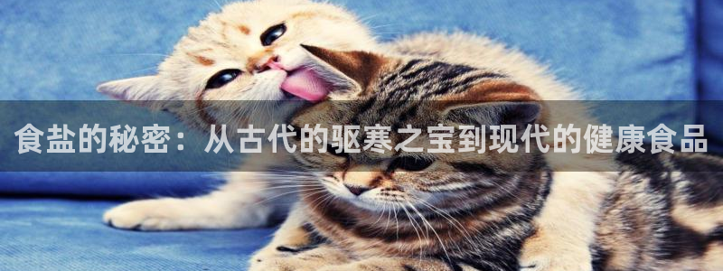 威九国际最近的视频