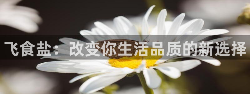 威九国际空降