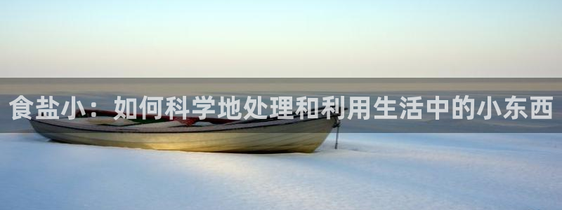 威九国际ppt免费下载网址