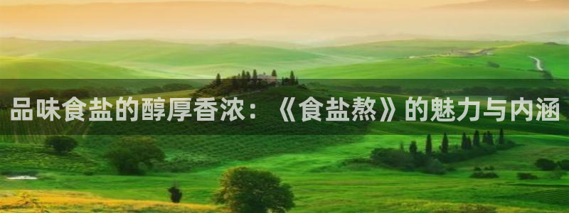 保定威九网络科技有限公司电话