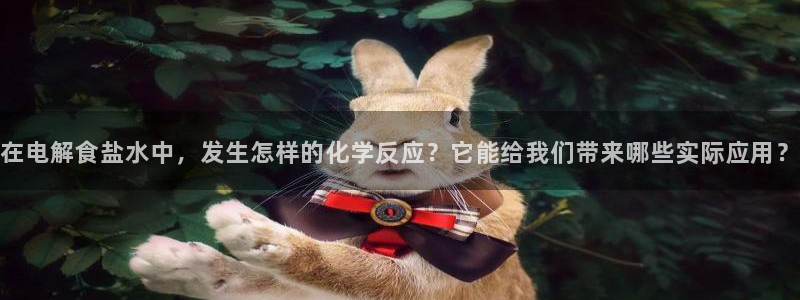 威九国际AN