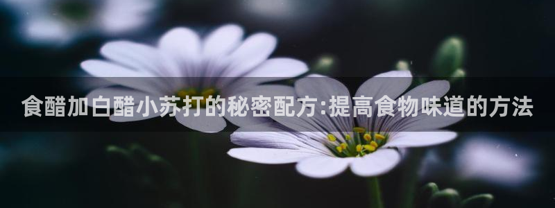 威九国际网站客服电话多少啊